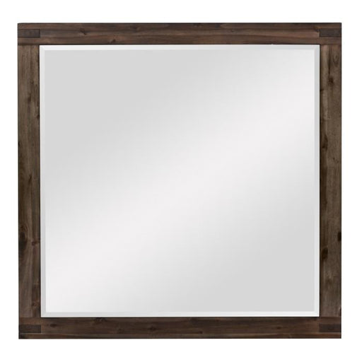 Parnell Mirror in Rustic Cherry 1648-6 image